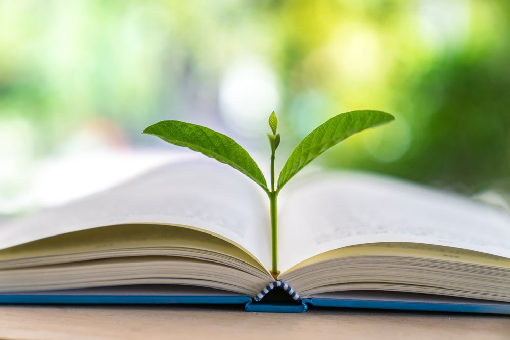 Ett blomskott växer ur en bok